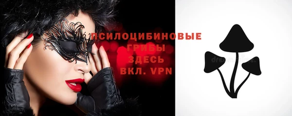 стафф Абинск