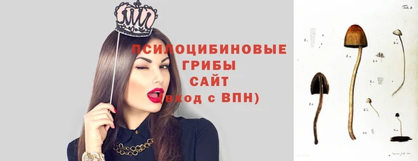 mix Абаза
