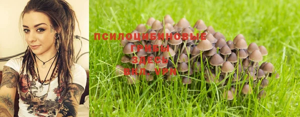 mix Абаза