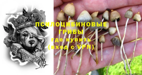 бошки Абдулино