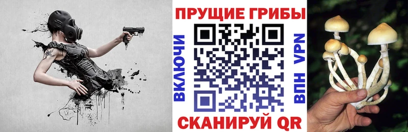 наркошоп  Куровское  Галлюциногенные грибы мицелий 